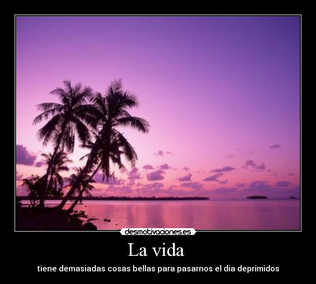 La vida -