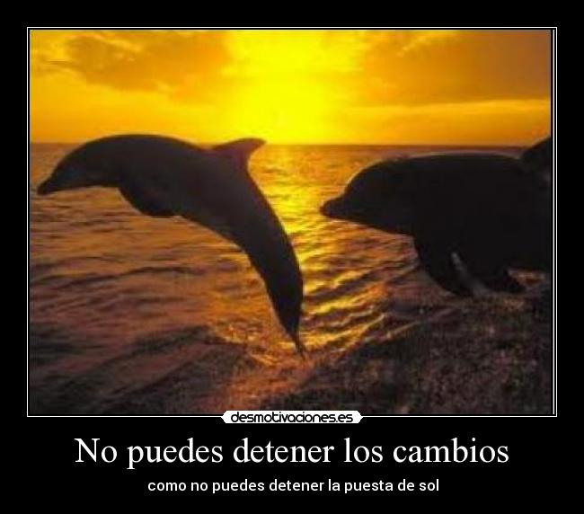 No puedes detener los cambios -