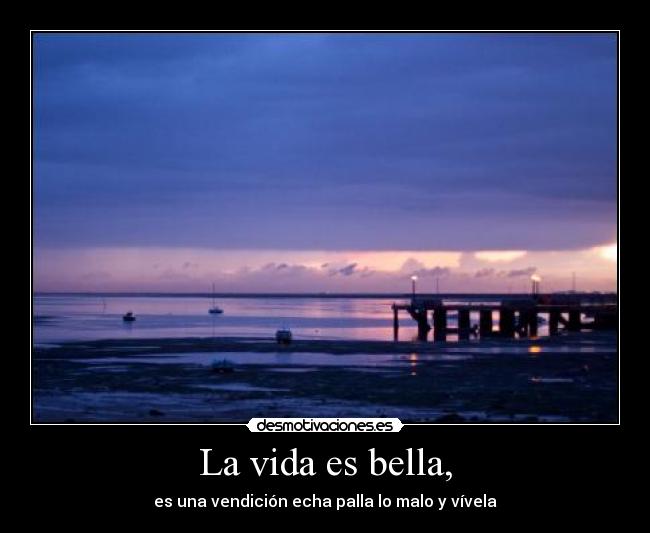 La vida es bella, - es una vendición echa palla lo malo y vívela