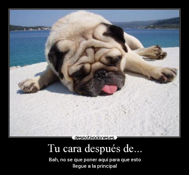 Tu cara después de... - 