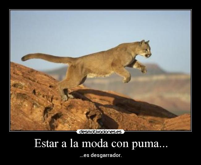 carteles estar moda con puma desmotivaciones