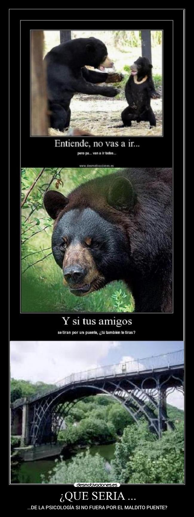 ¿QUE SERIA ... - ...DE LA PSICOLOGÍA SI NO FUERA POR EL MALDITO PUENTE?