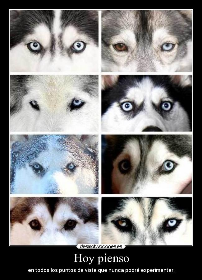 Hoy pienso - en todos los puntos de vista que nunca podré experimentar.