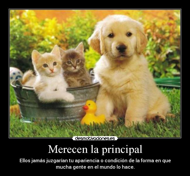 Merecen la principal -