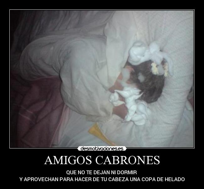 AMIGOS CABRONES -