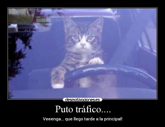 Puto tráfico.... - 