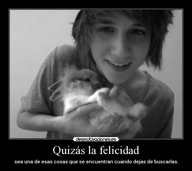 Quizás la felicidad -