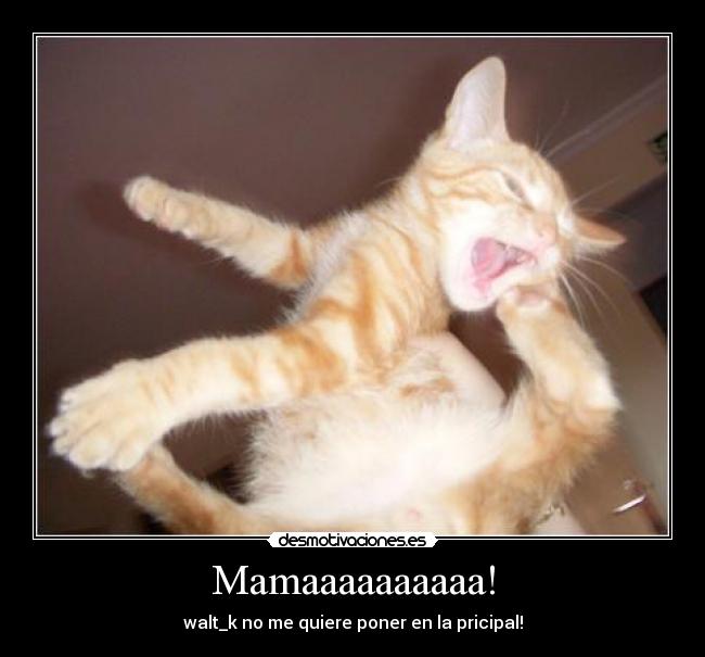 Mamaaaaaaaaaa! - walt_k no me quiere poner en la pricipal!