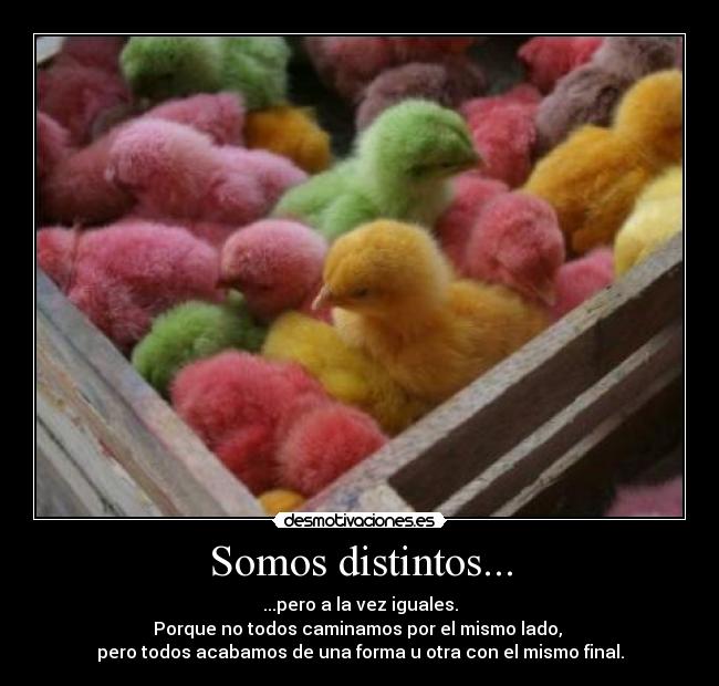 Somos distintos... - ...pero a la vez iguales.
Porque no todos caminamos por el mismo lado, 
pero todos acabamos de una forma u otra con el mismo final.