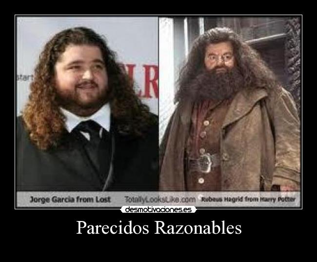 Parecidos Razonables -
