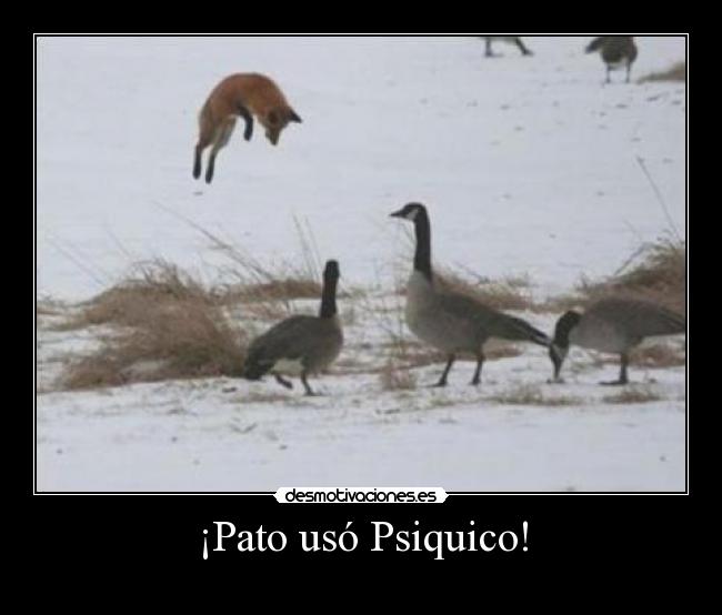 ¡Pato usó Psiquico! -