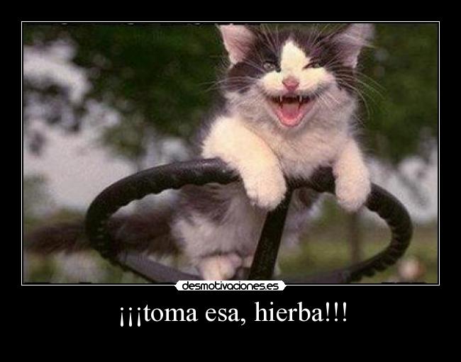 ¡¡¡toma esa, hierba!!! - 