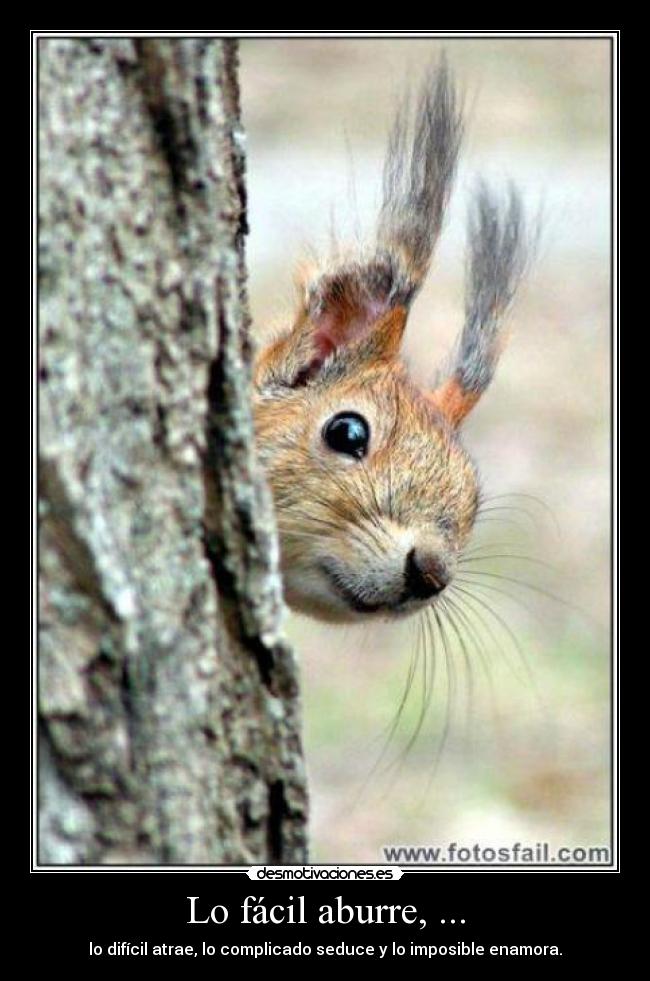 Lo fácil aburre, ... -