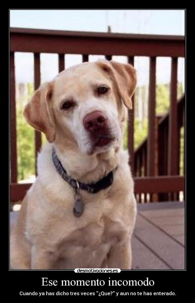Ese momento incomodo - Cuando ya has dicho tres veces ¿Que? y aun no te has enterado.