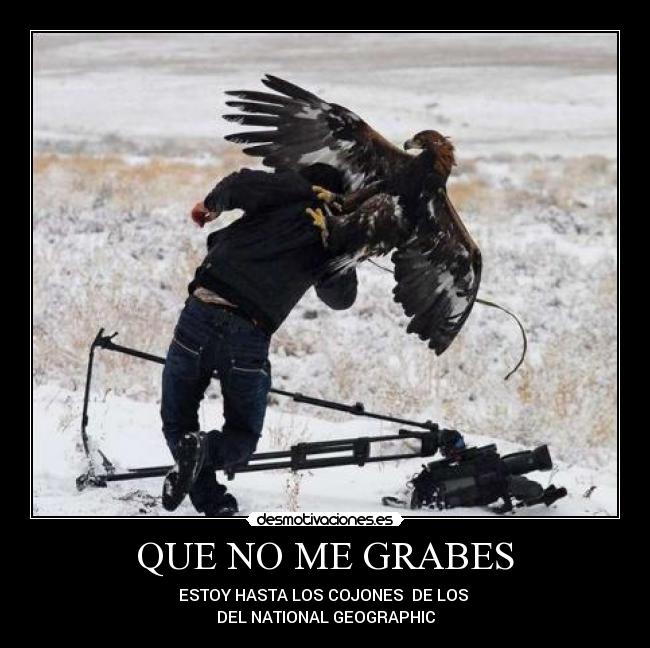 QUE NO ME GRABES - 