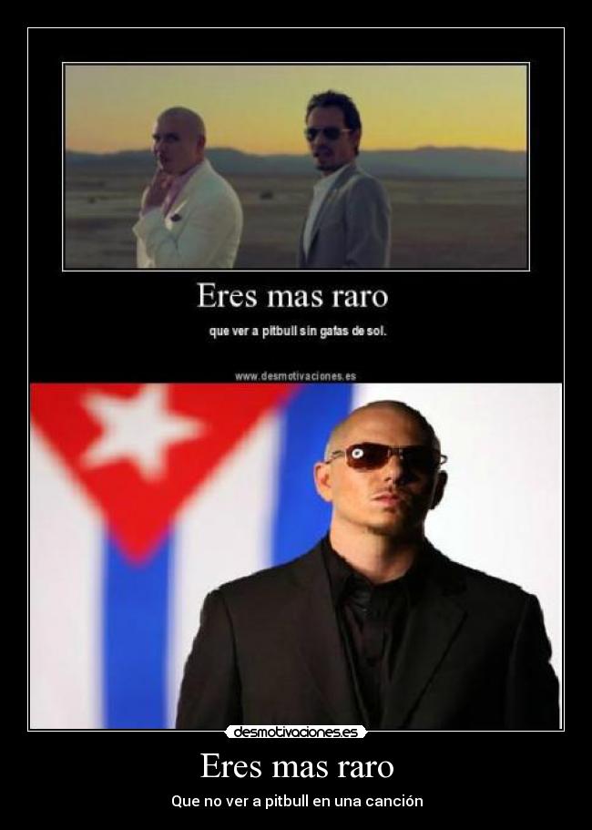 Eres mas raro - Que no ver a pitbull en una canción