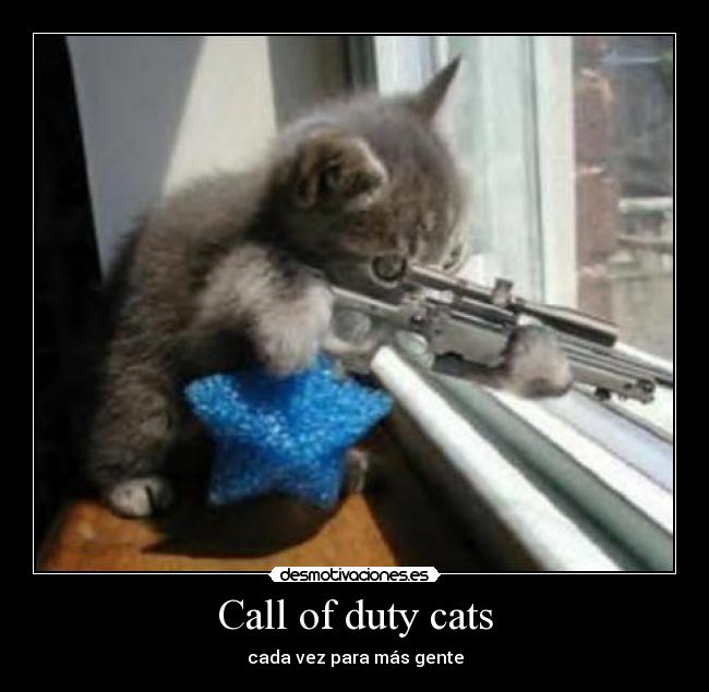 Call of duty cats - 