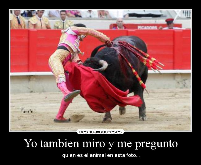 Yo tambien miro y me pregunto - quien es el animal en esta foto...