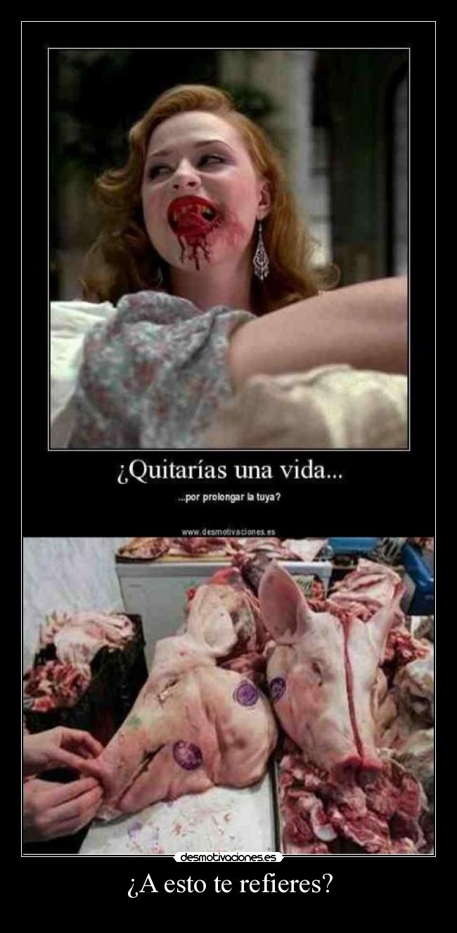 ¿A esto te refieres? -