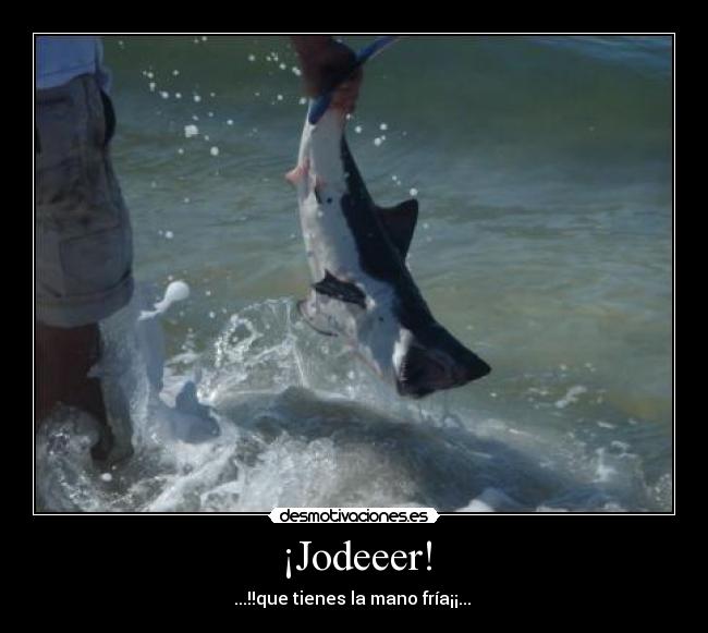 carteles naide desmotivaciones