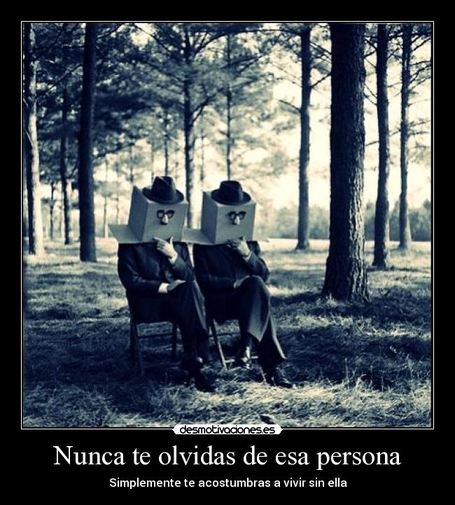 Nunca te olvidas de esa persona - Simplemente te acostumbras a vivir sin ella