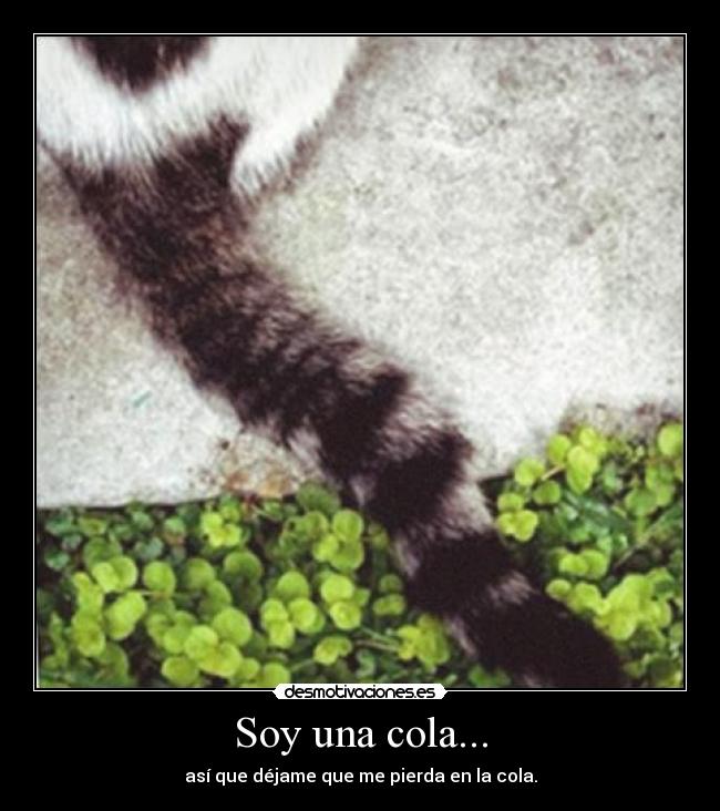Soy una cola... - así que déjame que me pierda en la cola.