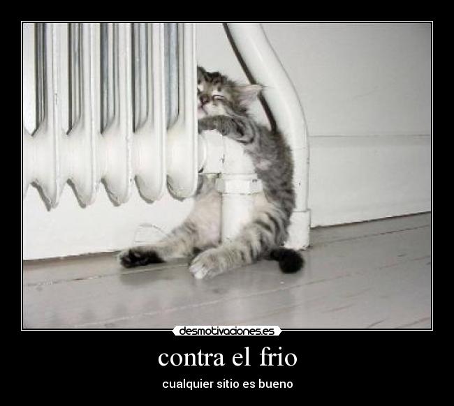 carteles gatosfrio desmotivaciones