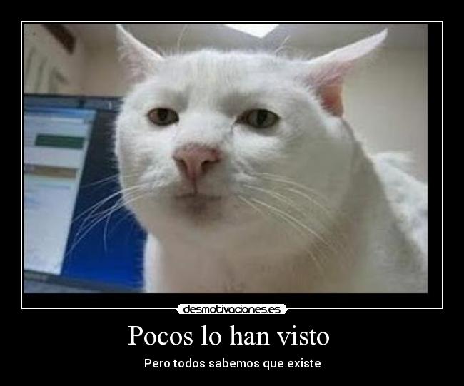 Pocos lo han visto  - 