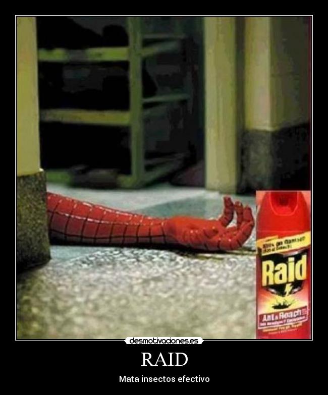 RAID - Mata insectos efectivo