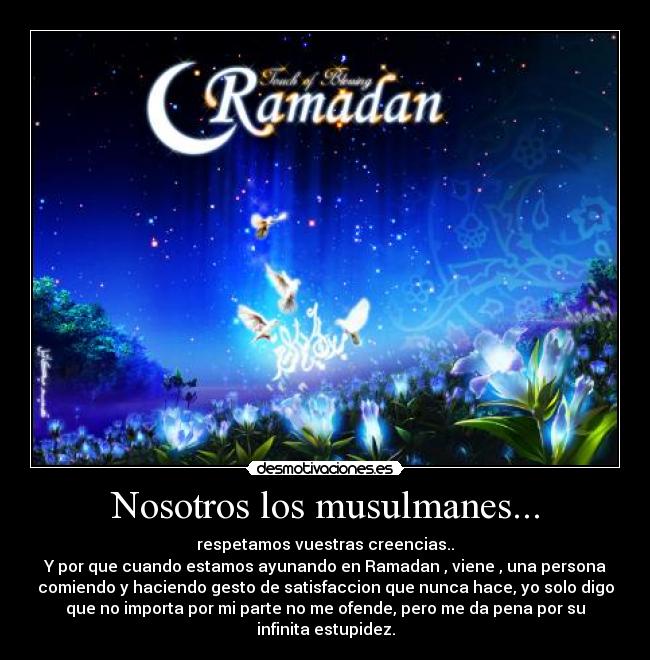 Nosotros los musulmanes... -
