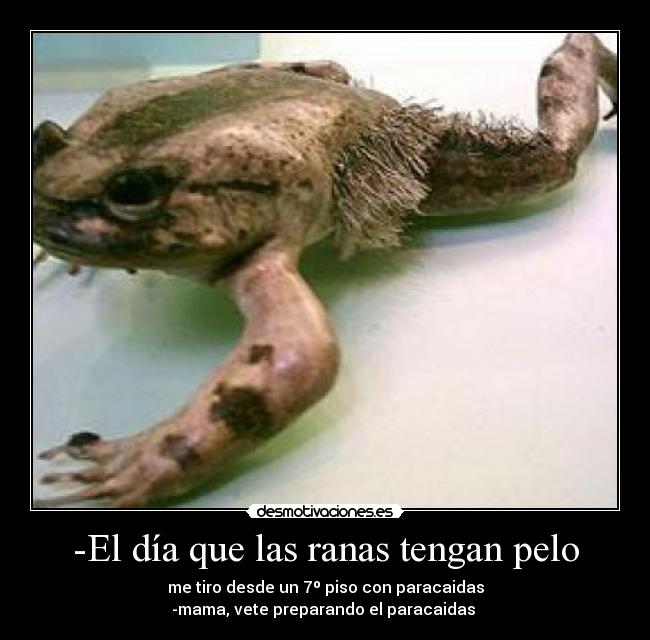 -El día que las ranas tengan pelo - me tiro desde un 7º piso con paracaidas
-mama, vete preparando el paracaidas