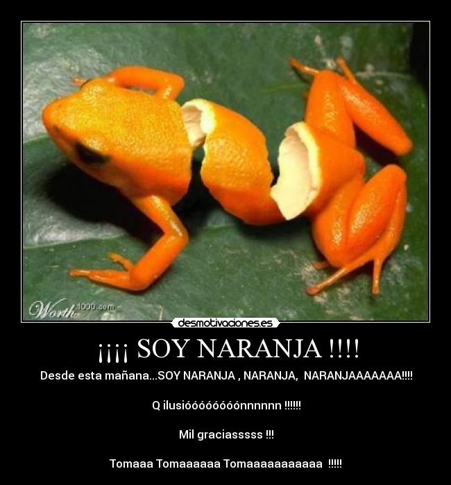 ¡¡¡¡ SOY NARANJA !!!! -
