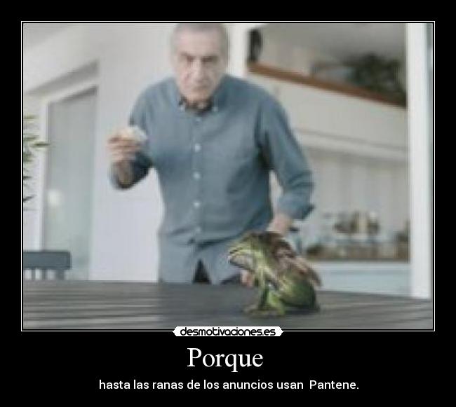 Porque - hasta las ranas de los anuncios usan Pantene.