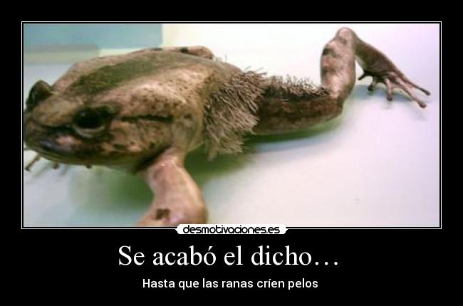 Se acabó el dicho…  - 