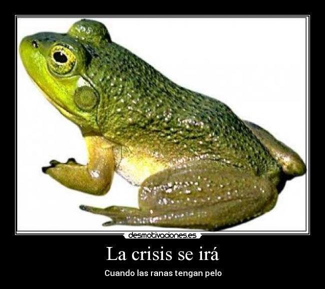 carteles rana pelo desmotivaciones desmotivaciones