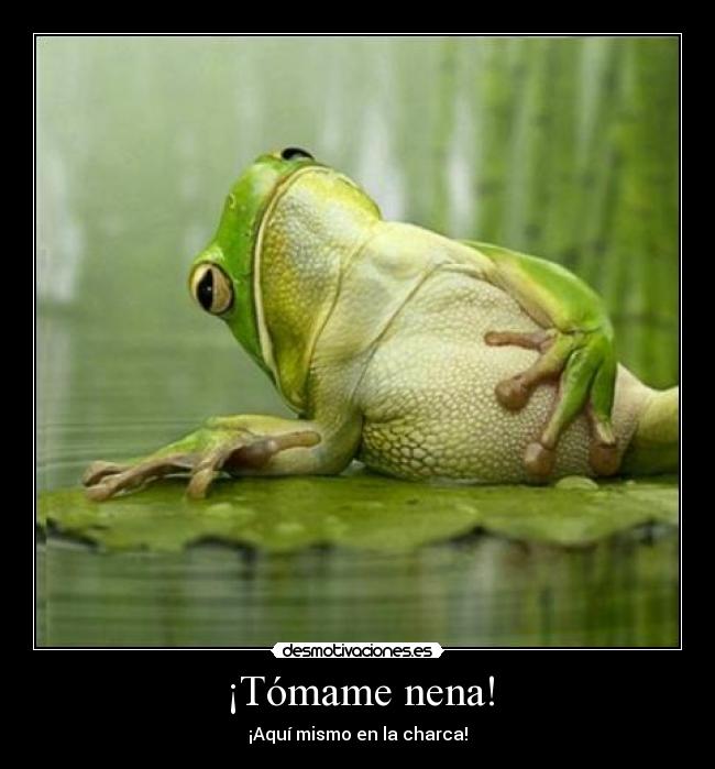 ¡Tómame nena! - 