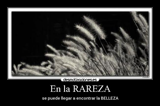 En la RAREZA - se puede llegar a encontrar la BELLEZA