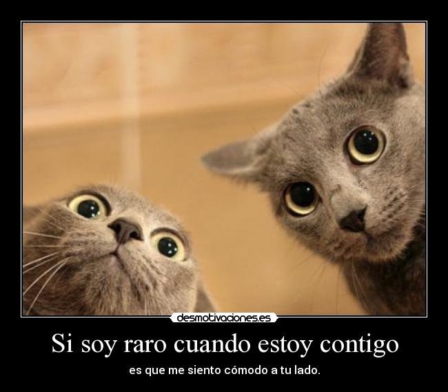 Si soy raro cuando estoy contigo -