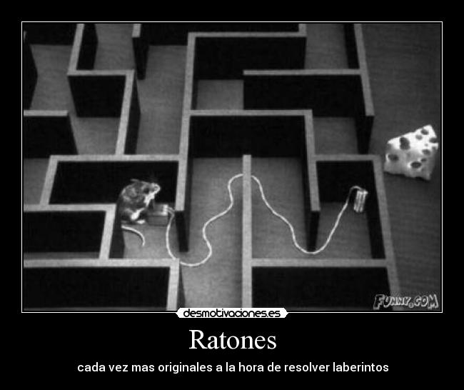 Ratones - 