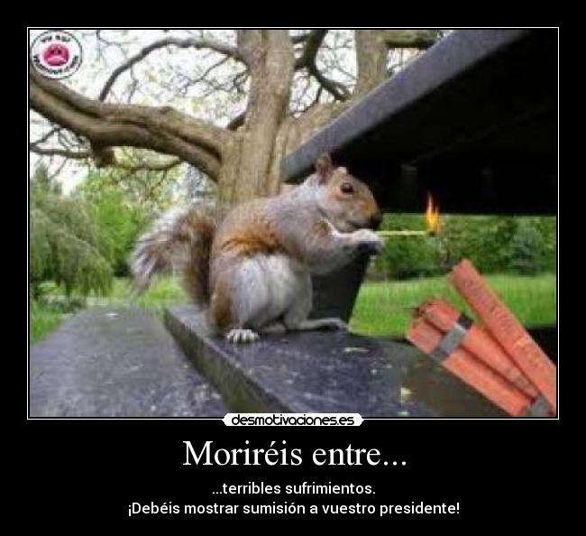Moriréis entre... - ...terribles sufrimientos.
¡Debéis mostrar sumisión a vuestro presidente!