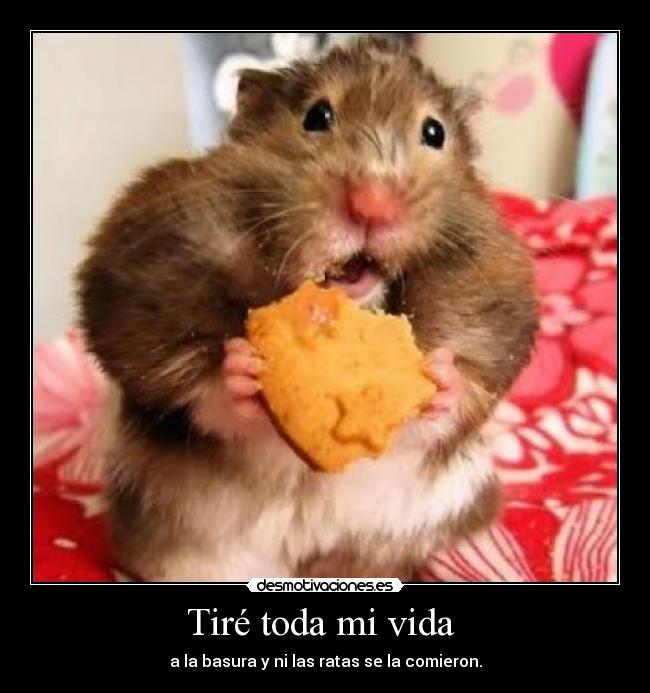 carteles vida lenamarston desmotivaciones