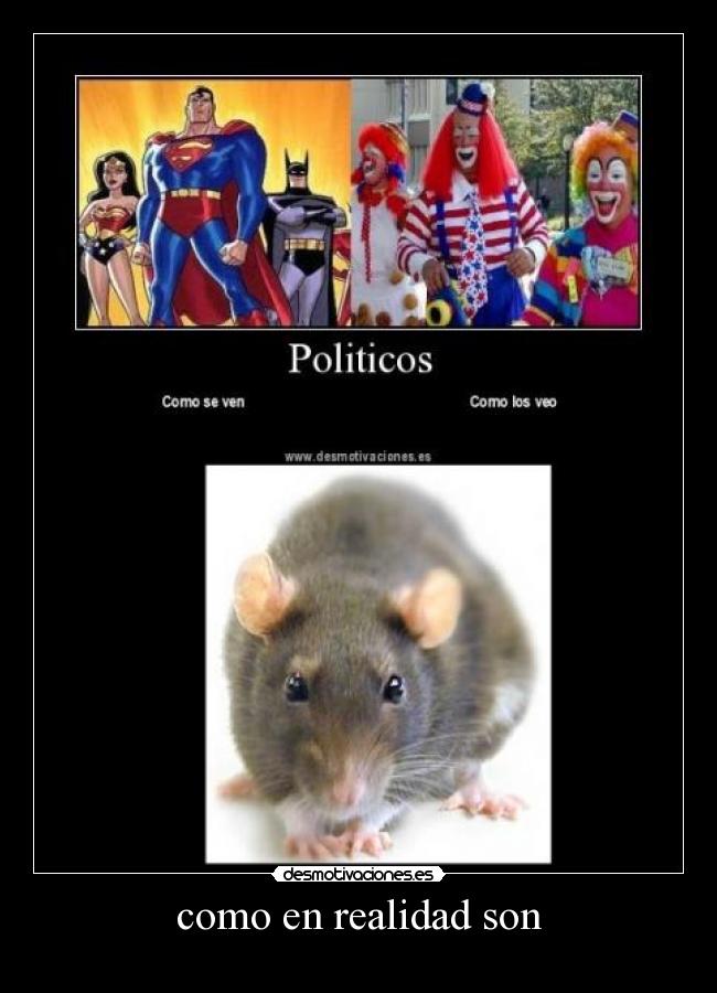 como en realidad son -