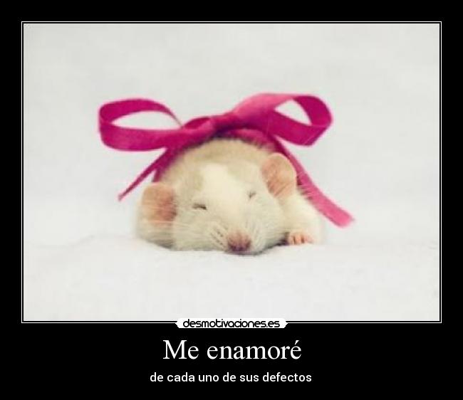 Me enamoré - de cada uno de sus defectos ♥
