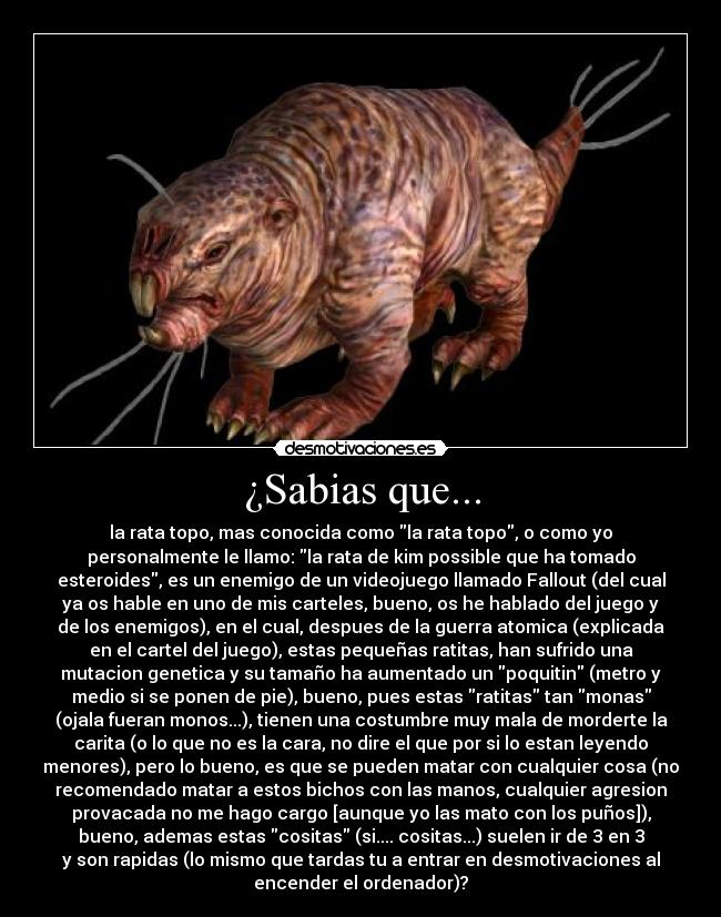 ¿Sabias que... - la rata topo, mas conocida como la rata topo, o como yo
personalmente le llamo: la rata de kim possible que ha tomado
esteroides, es un enemigo de un videojuego llamado Fallout (del cual
ya os hable en uno de mis carteles, bueno, os he hablado del juego y
de los enemigos), en el cual, despues de la guerra atomica (explicada
en el cartel del juego), estas pequeñas ratitas, han sufrido una
mutacion genetica y su tamaño ha aumentado un poquitin (metro y
medio si se ponen de pie), bueno, pues estas ratitas tan monas
(ojala fueran monos...), tienen una costumbre muy mala de morderte la
carita (o lo que no es la cara, no dire el que por si lo estan leyendo
menores), pero lo bueno, es que se pueden matar con cualquier cosa (no
recomendado matar a estos bichos con las manos, cualquier agresion
provacada no me hago cargo [aunque yo las mato con los puños]),
bueno, ademas estas cositas (si.... cositas...) suelen ir de 3 en 3
y son rapidas (lo mismo que tardas tu a entrar en desmotivaciones al
encender el ordenador)?