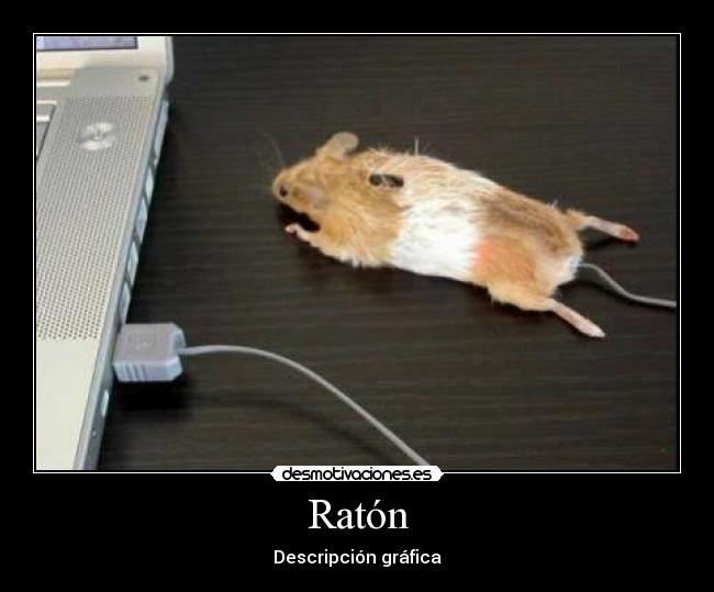Ratón - Descripción gráfica