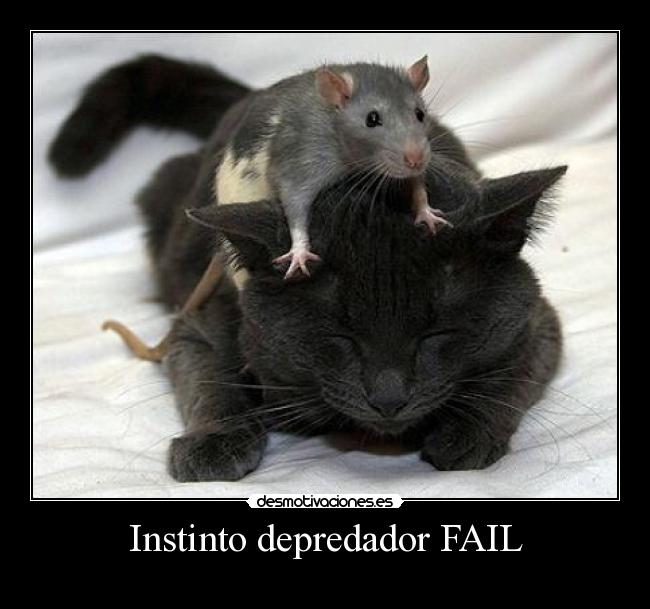 Instinto depredador FAIL -
