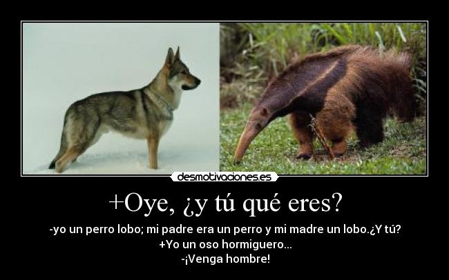 +Oye, ¿y tú qué eres? - 