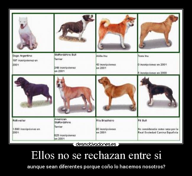 Ellos no se rechazan entre si - aunque sean diferentes porque coño lo hacemos nosotros?