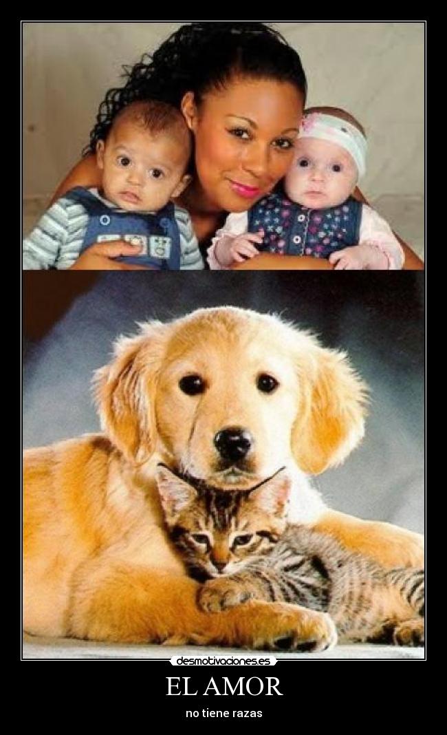 EL AMOR - no tiene razas