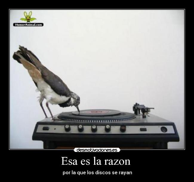 Esa es la razon -